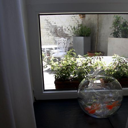Apartment Miro Kolonia Zewnętrze zdjęcie